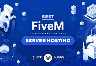 Best-FiveM-Server-Hosting-Providers