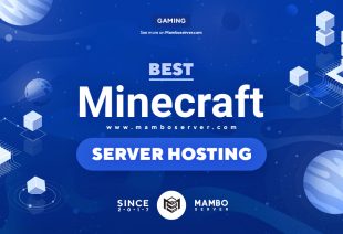 Best Minecraft Server Hosting