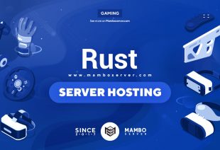 Best Rust Server Hosting