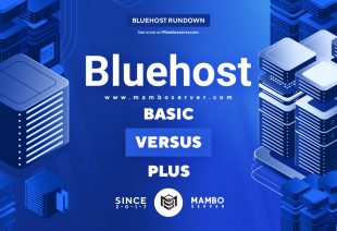 Bluehost Basic vs. Plus