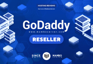 GoDaddy Reseller Review