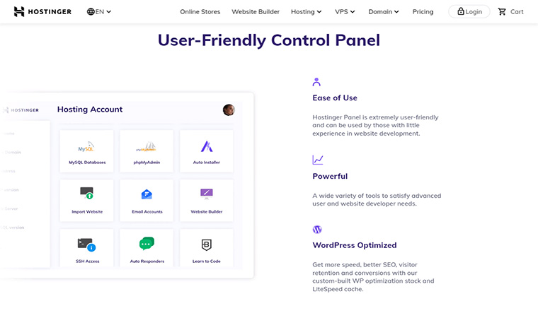 Hostinger Control Panel